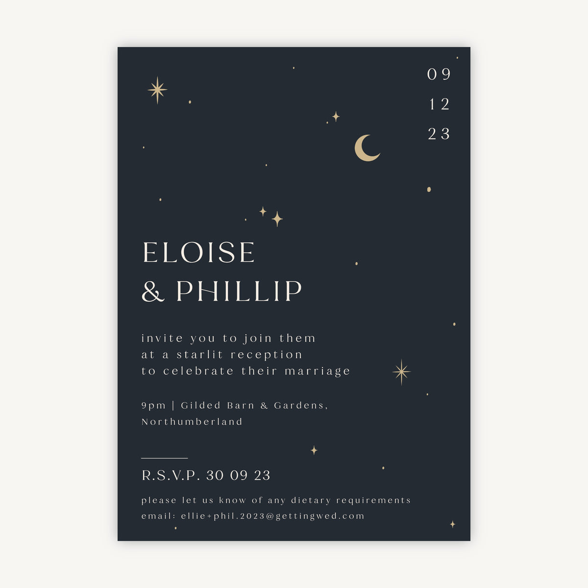 Celestial Night Sky Evening Wedding Invitation Sample